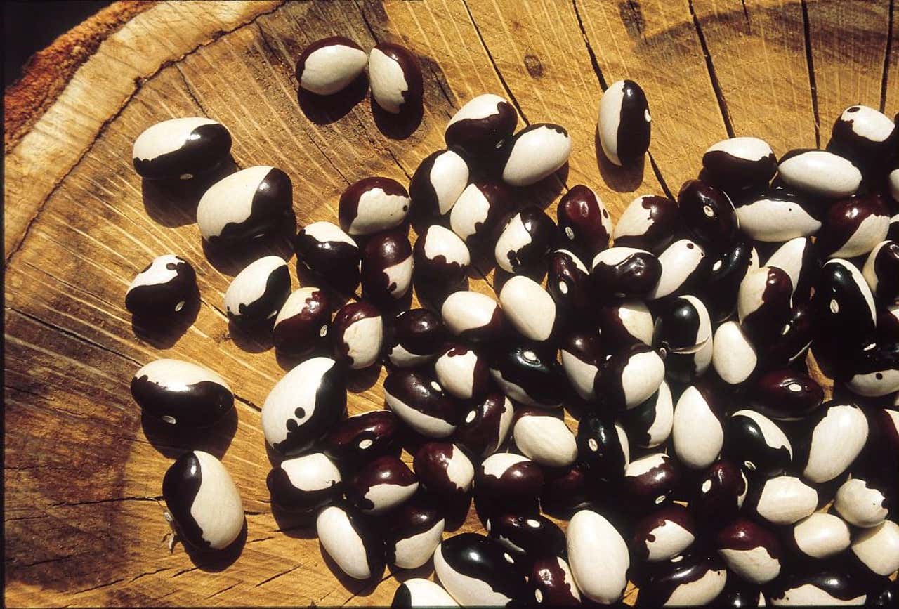 Aggiungi un legume a tavola: il 10 febbraio in oltre 150 ristoranti e pizzerie